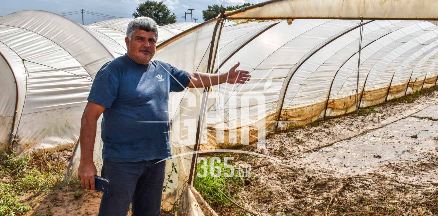 Βουπρασία: Θερμοκήπια με κολοκύθια πνίγηκαν στη λάσπη