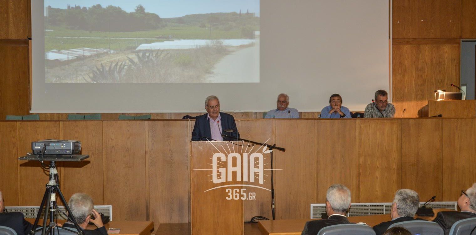 Συστράτευση της κοινωνίας για το παρόν και το μέλλον της σταφίδας