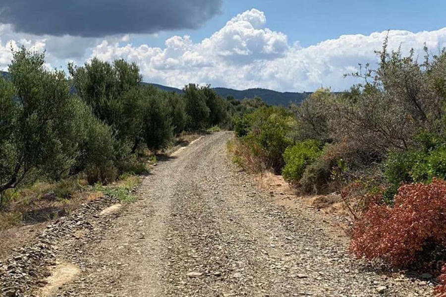 Ηλεία: Οι προτάσεις-μελέτες των Δήμων για χρηματοδότηση βελτίωσης πρόσβασης σε αγροτικές και κτηνοτροφικές εκμεταλλεύσεις